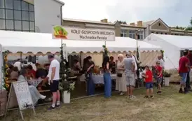 Piknik Błęd&oacute;w 06_07_2025 (324 z 342)