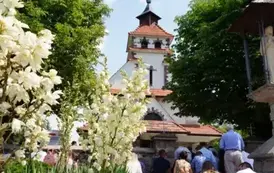 Piknik Błęd&oacute;w 06_07_2025 (91 z 342)