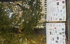 IMG_9518 (1).jpeg