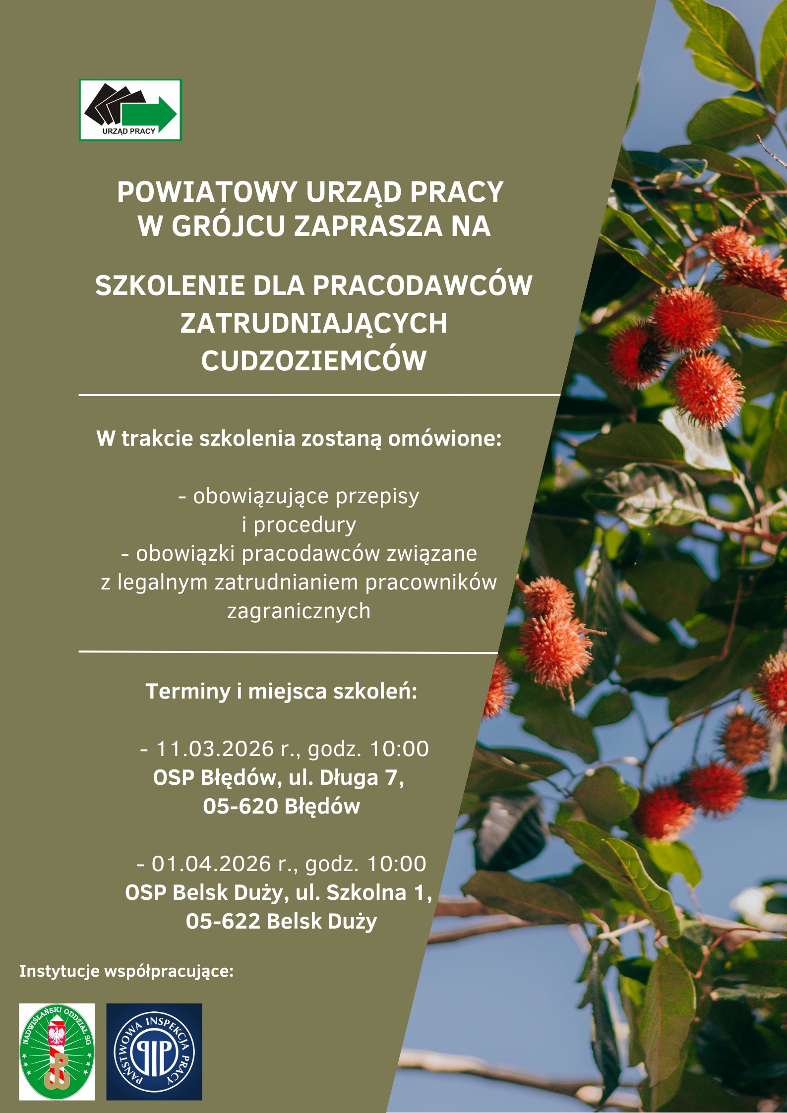Plakat_dot-_szkolenia_dla_pracodawc&oacute;w_2026_(002)